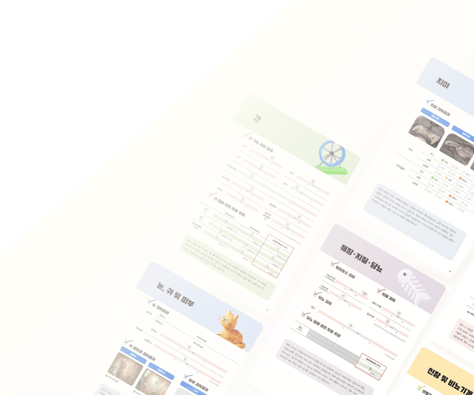 검진 리포트 예시