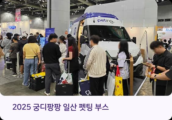 펫팅 건강검진 이벤트 이미지 1