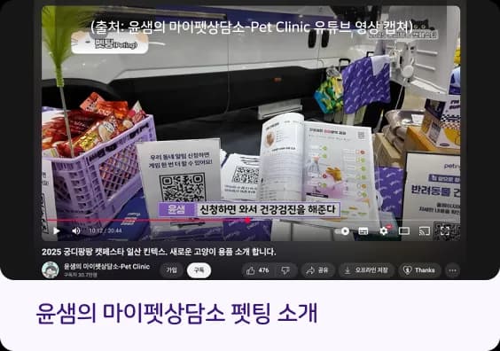 펫팅 건강검진 이벤트 이미지 4