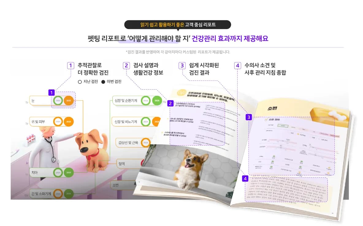 펫팅 건강검진 리포트 예시 화면