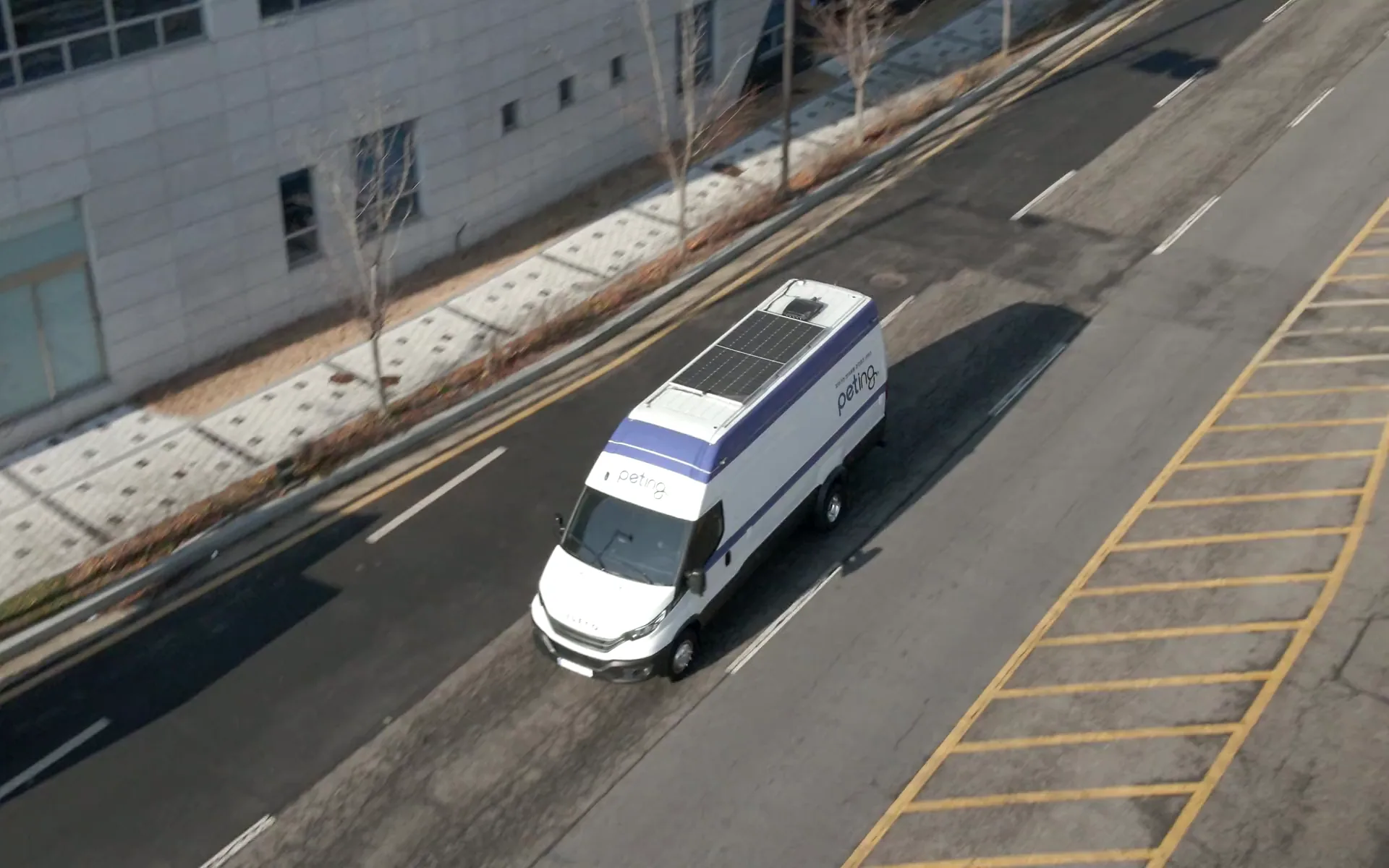 동네 길을 달려오는 펫팅 검진 차량과, 차 안에서 편안히 쓰다듬어지는 고양이