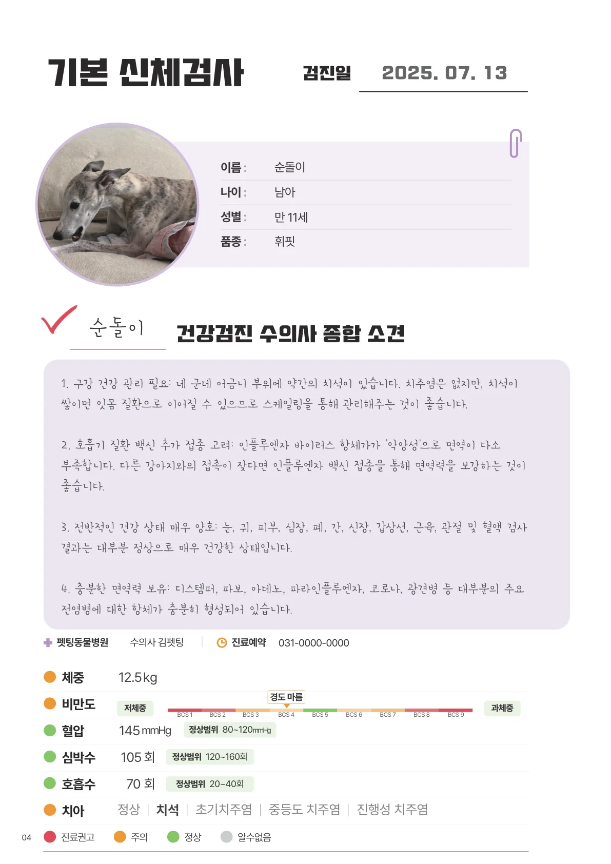 기본 신체검사와 수의사 종합 소견 페이지 — 체중·혈압·심박수 아래 소견 네 줄